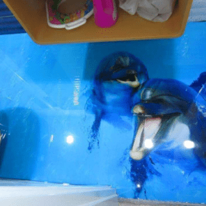 Piso de baño en 3D
