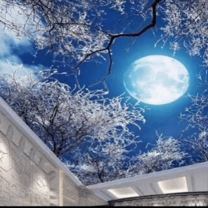 Cielo